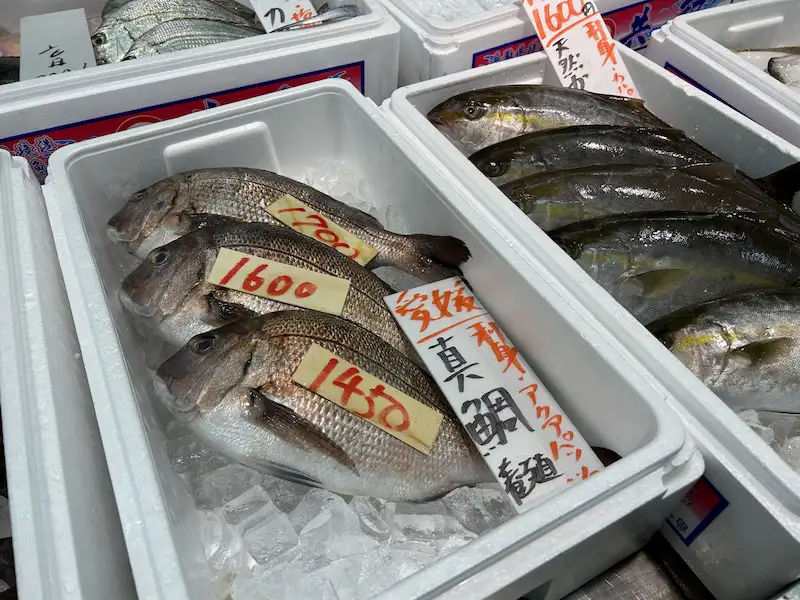 市場で並ぶ真鯛