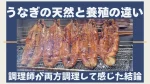 調理師が両方調理して感じた結論