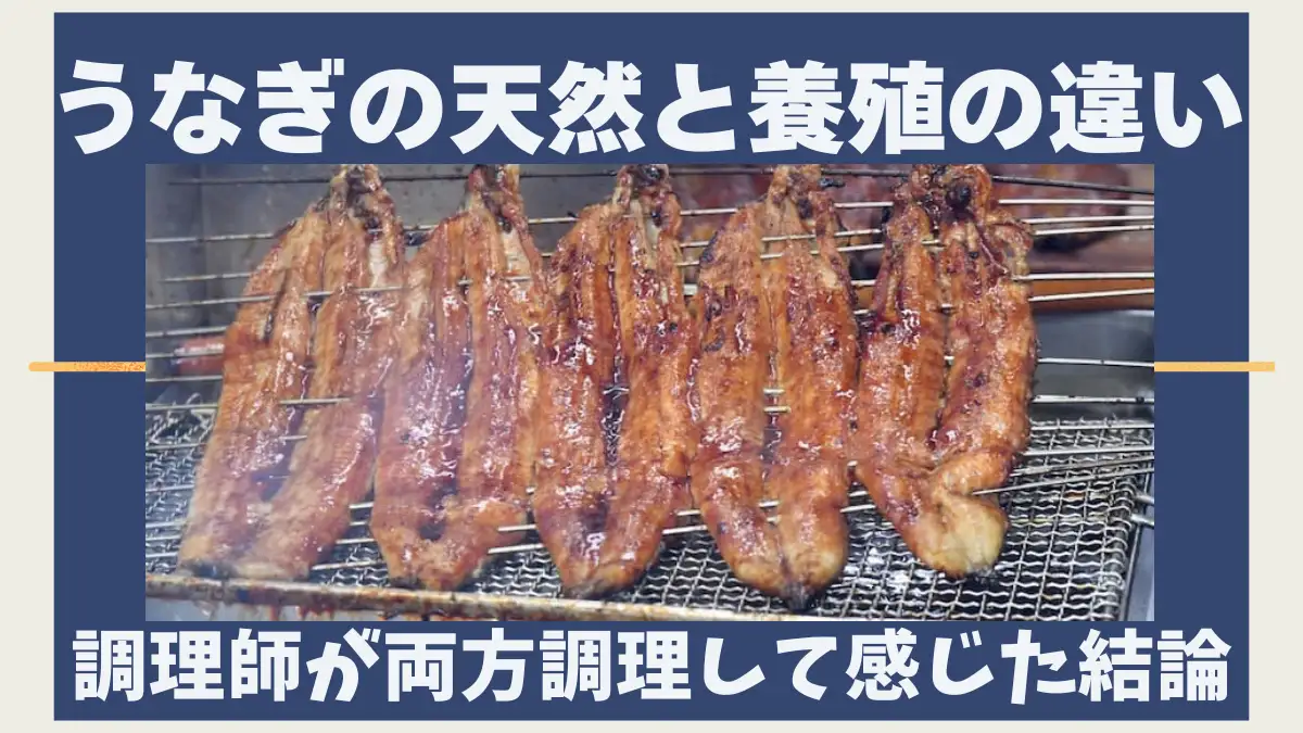 調理師が両方調理して感じた結論