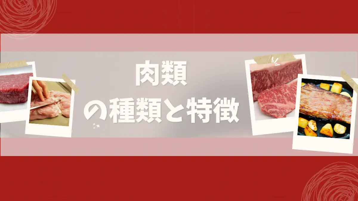 【調理師が解説】肉の種類と特徴一覧｜料理別のおすすめ部位も紹介（牛・豚・鶏・馬・ジビエ）