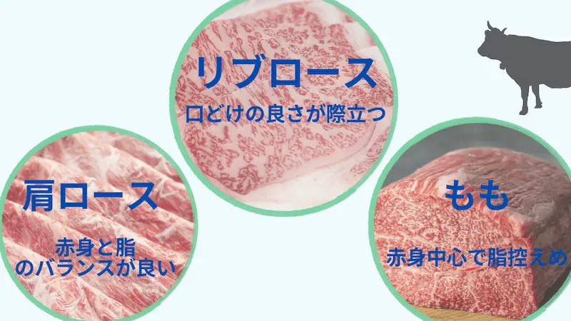 しゃぶしゃぶを部位で選ぶ（リブロース・肩ロース・もも肉の特徴）