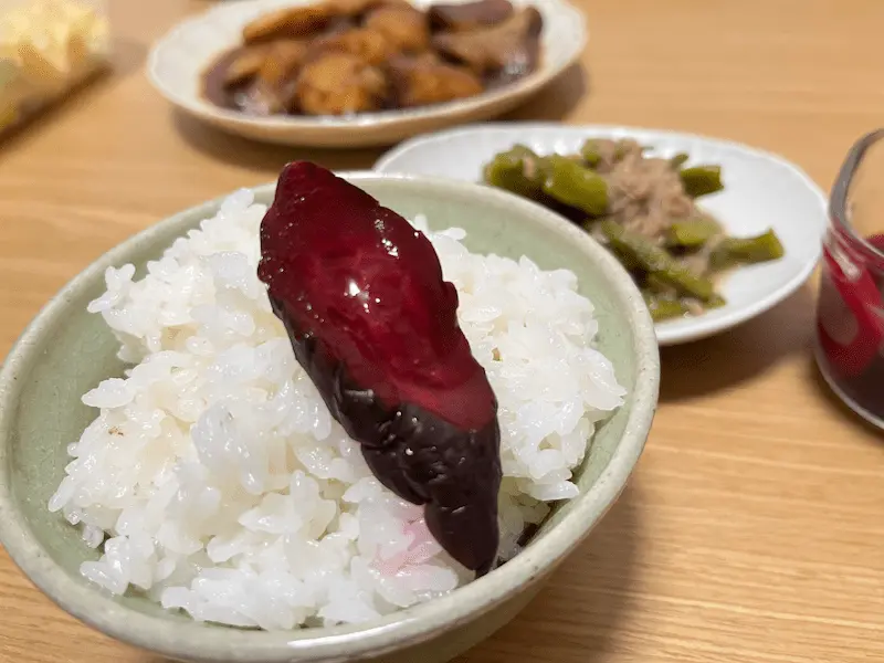 ご飯の上に乗せた「おらがむら漬」