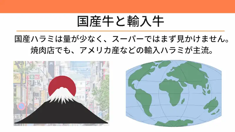 国産と輸入の味と食感の違い